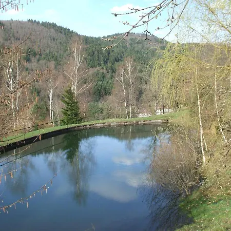 Chalet Chalet Independant Avec Jacuzzi Privatif *